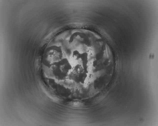 X0000111640165200908071351