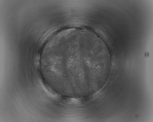 X0000111640166200908071351
