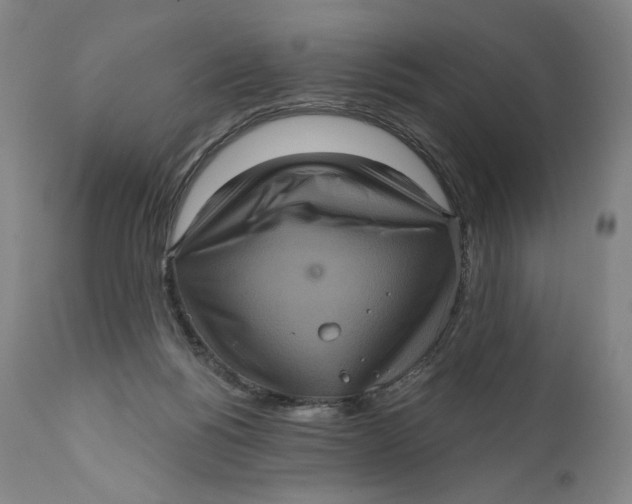 X0000111640168200908071351