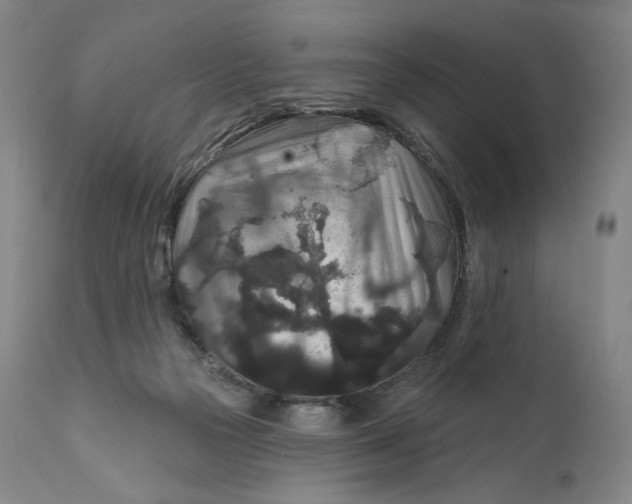 X0000111640169200908071351