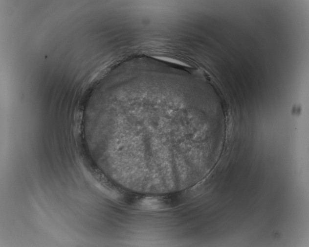 X0000111640171200908071351