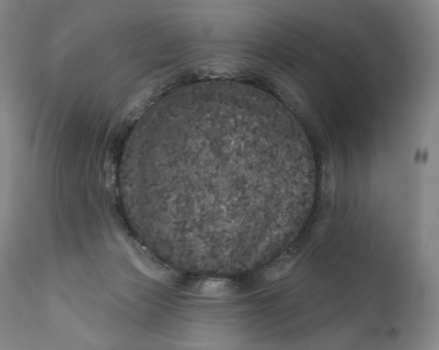 X0000111640173200908071351