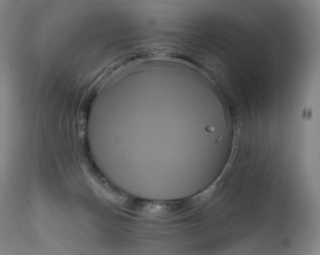 X0000111640174200908071351