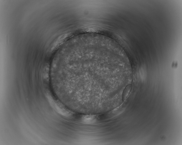 X0000111640175200908071351