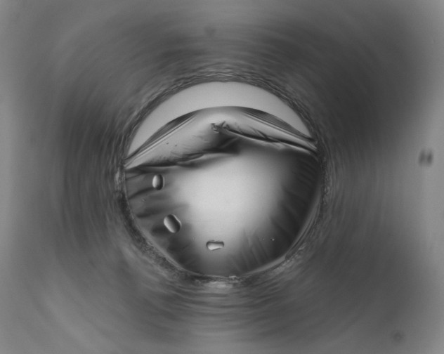 X0000111640176200908071351