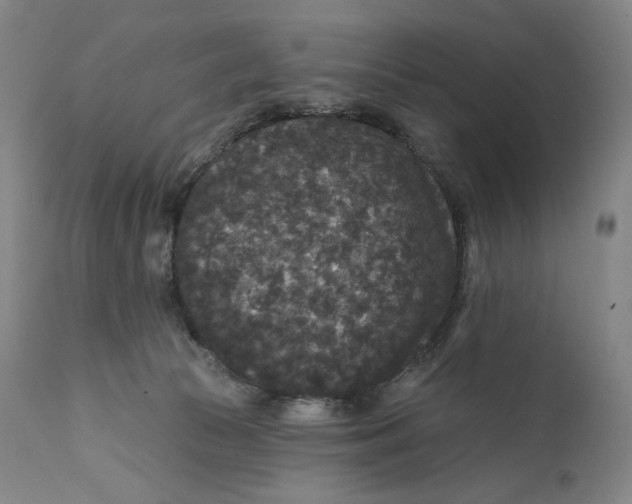 X0000111640177200908071351