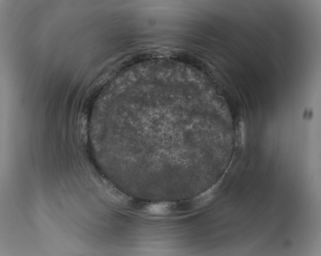 X0000111640178200908071351