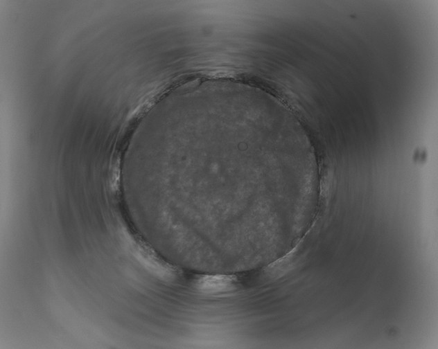 X0000111640179200908071352