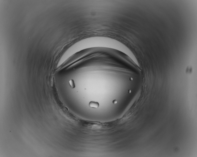 X0000111640180200908071352