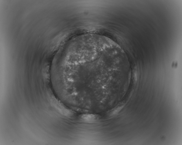X0000111640181200908071352