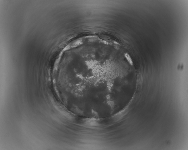 X0000111640182200908071352