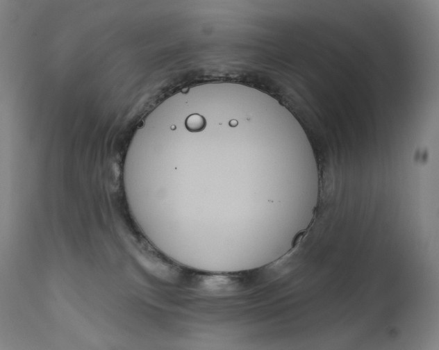 X0000111640183200908071352
