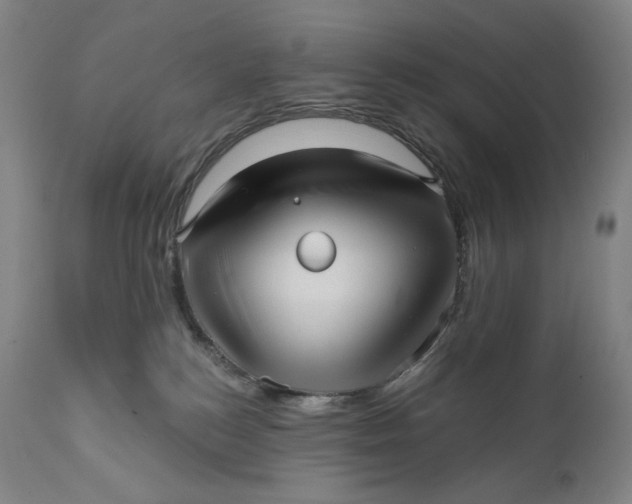 X0000111640184200908071352