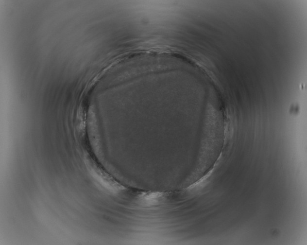 X0000111640186200908071352