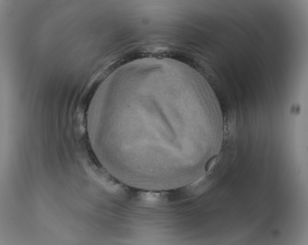 X0000111640187200908071352
