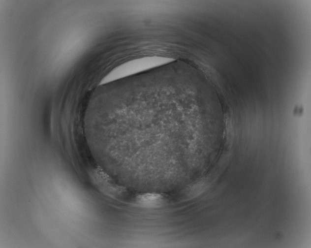 X0000111640189200908071352