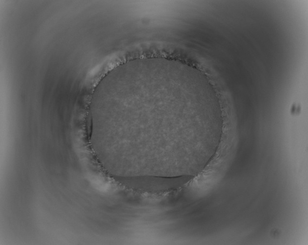X0000111640192200908071352