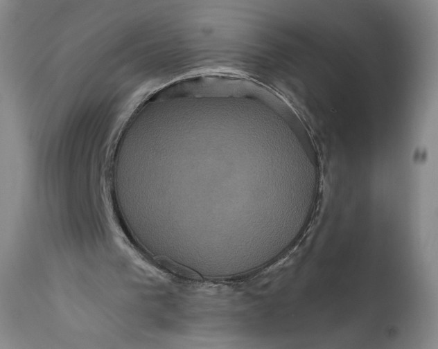 X0000111640193200908071351
