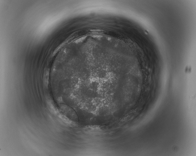 X0000111640194200908071351