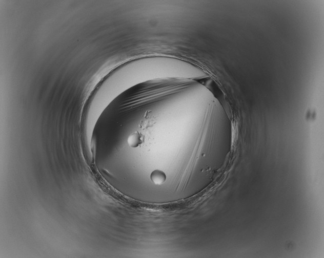 X0000111640195200908071351