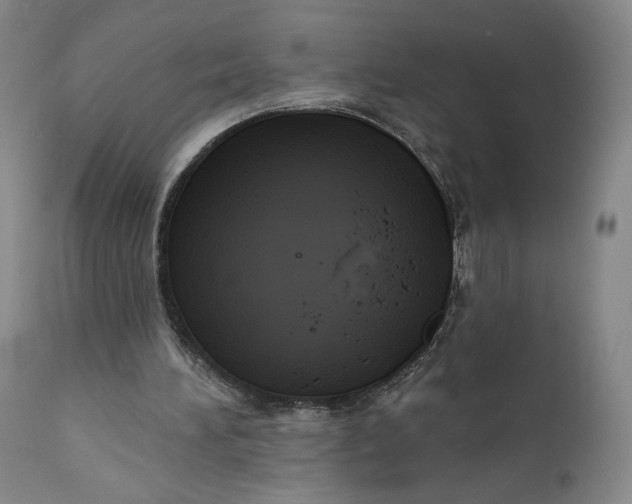 X0000111640196200908071351
