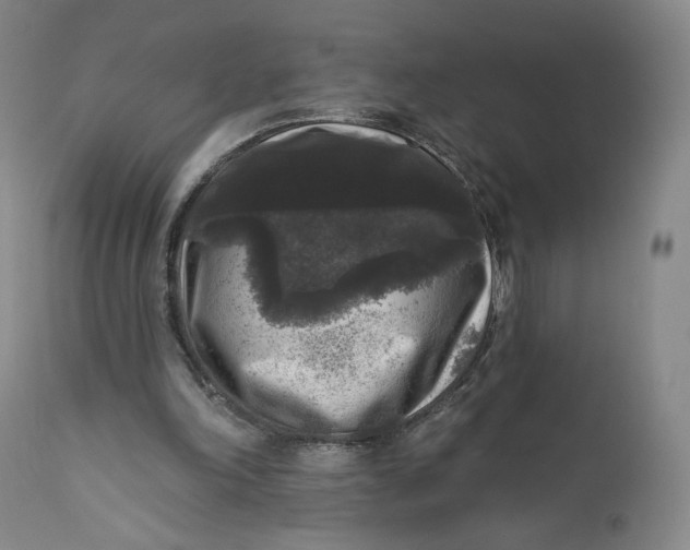 X0000111640198200908071351