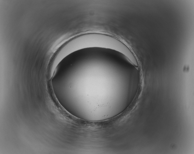 X0000111640199200908071351