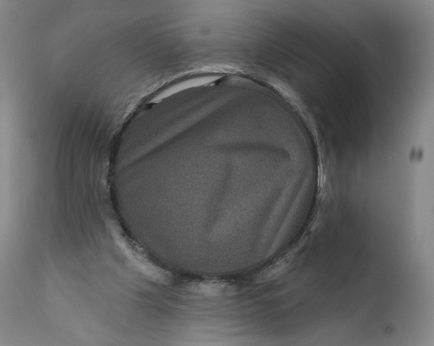 X0000111640201200908071351