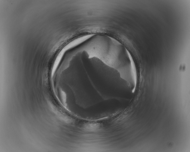X0000111640202200908071351