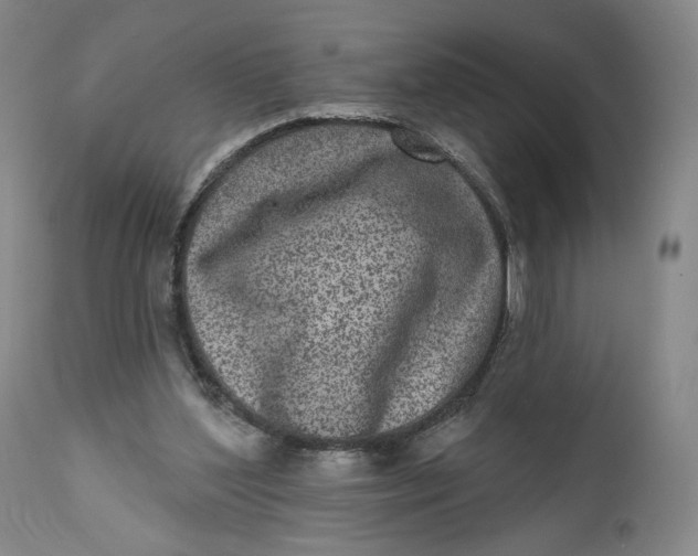 X0000111640204200908071351