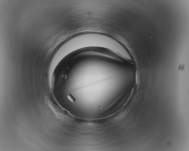 X0000111640205200908071351