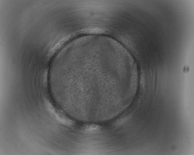 X0000111640206200908071351