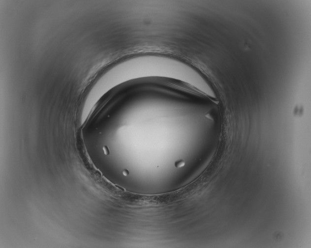 X0000111640207200908071351