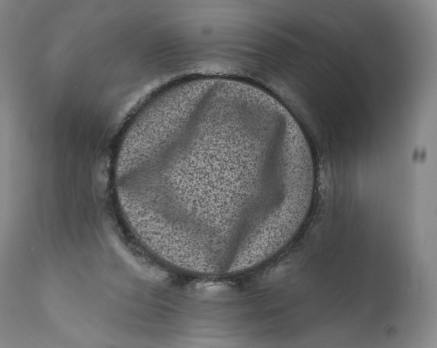 X0000111640208200908071351