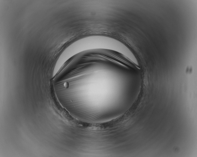 X0000111640211200908071351