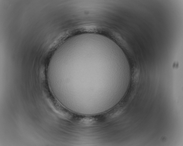X0000111640213200908071351