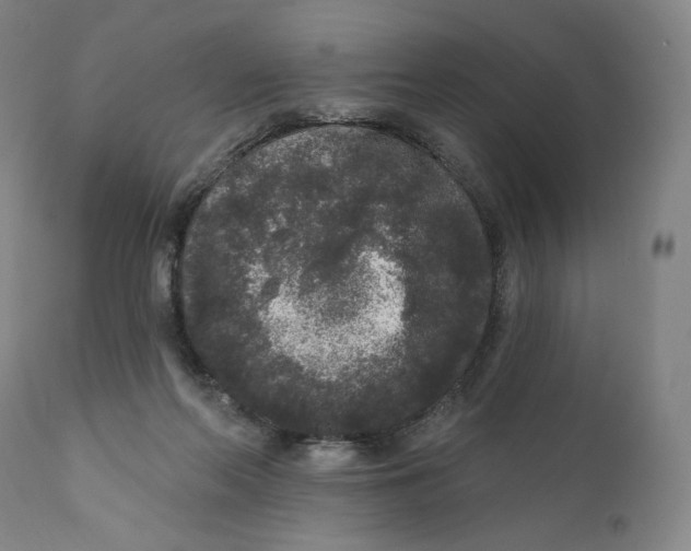 X0000111640214200908071351