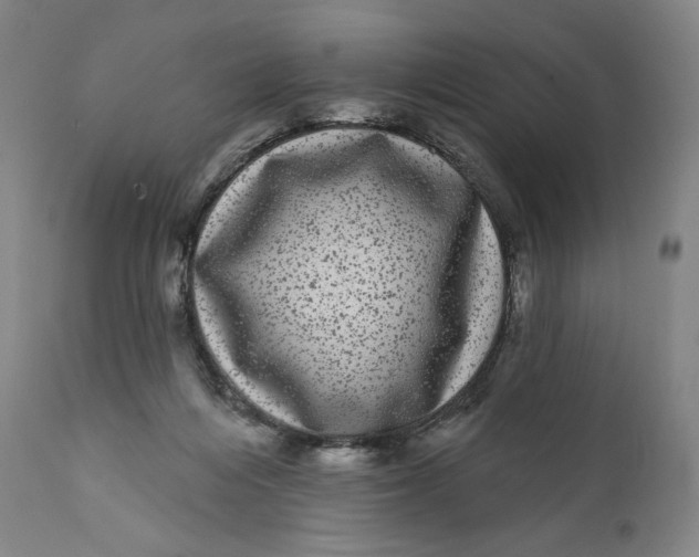 X0000111640216200908071351