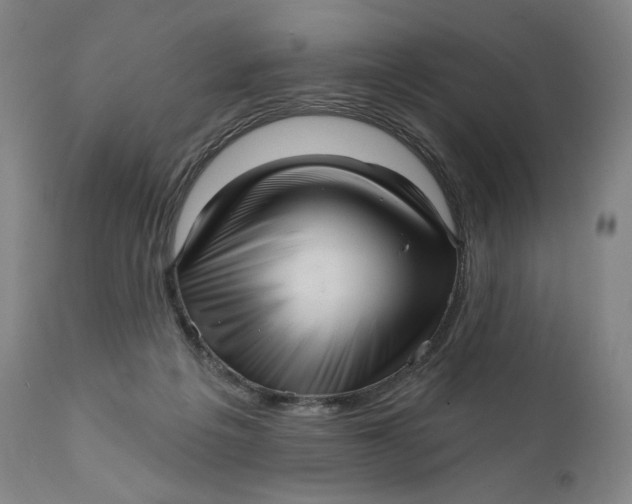 X0000111640217200908071351