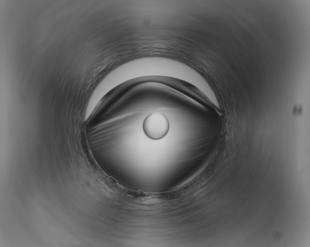 X0000111640219200908071351
