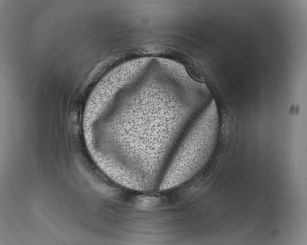 X0000111640220200908071351