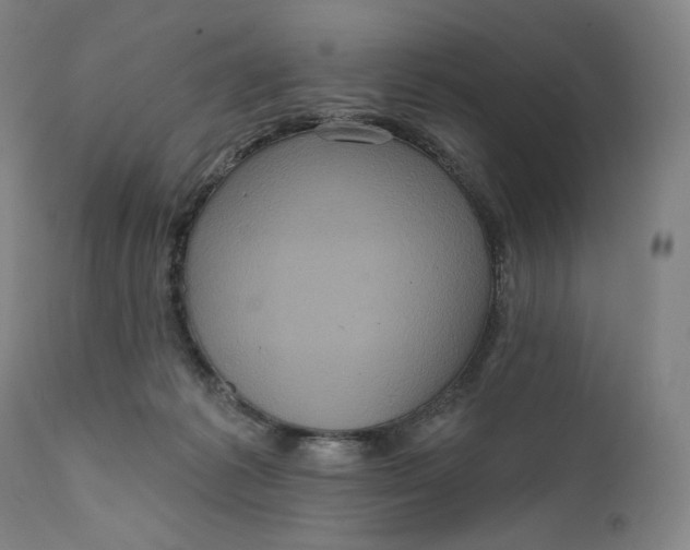 X0000111640221200908071351