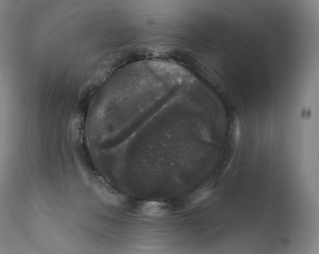 X0000111640222200908071351