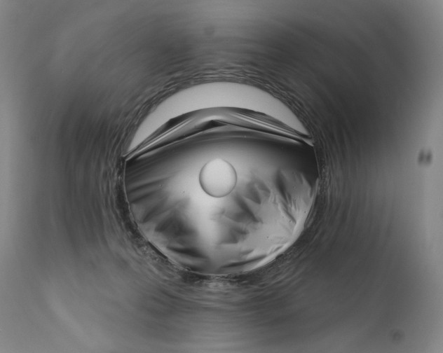 X0000111640223200908071350