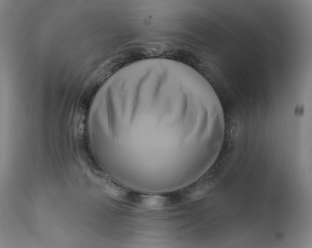 X0000111640226200908071350