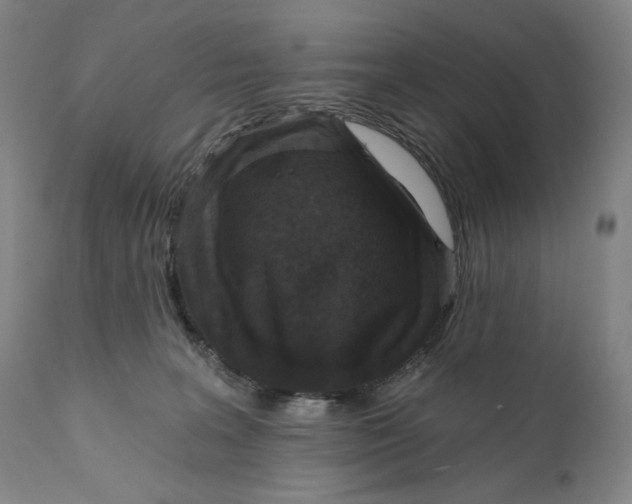 X0000111640227200908071350