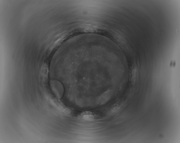 X0000111640228200908071350