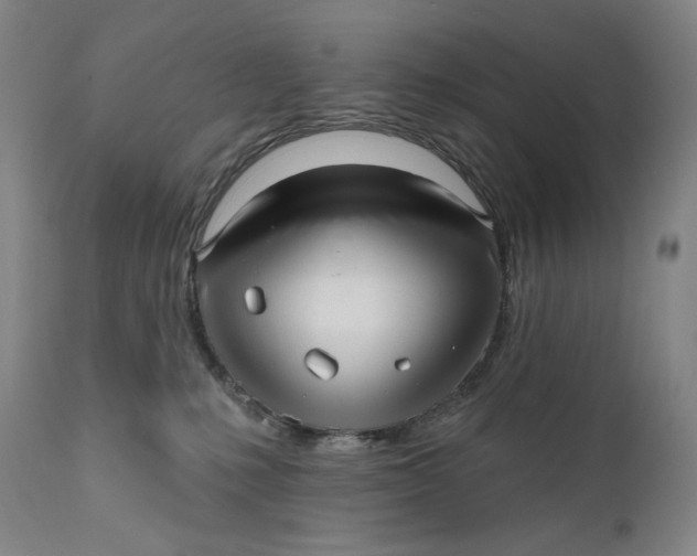 X0000111640231200908071350