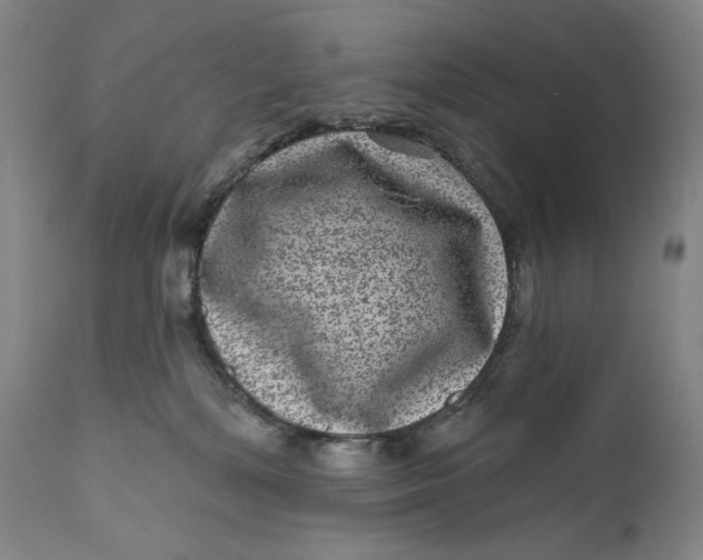 X0000111640232200908071350