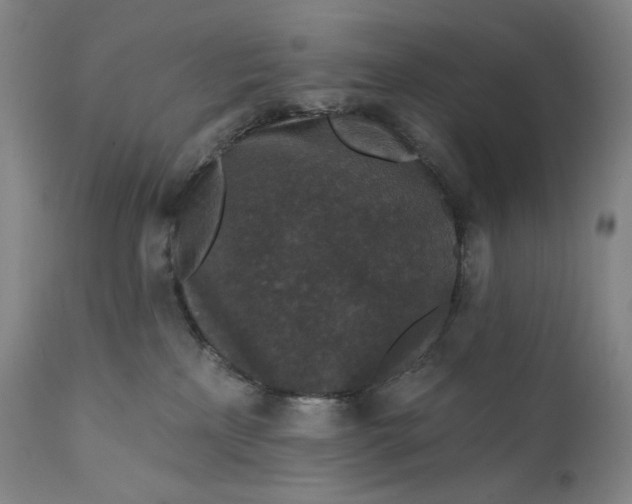 X0000111640233200908071350
